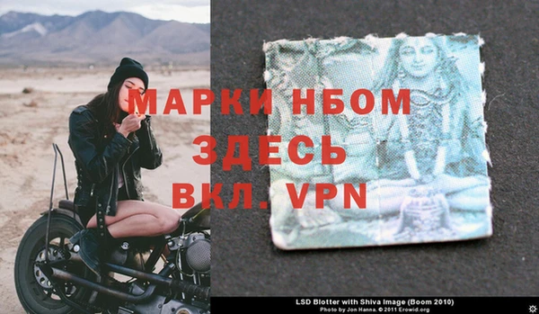 гашик Нефтекумск
