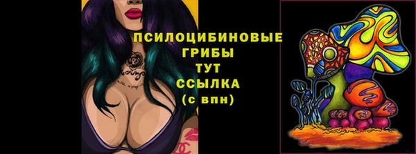 гашик Нефтекумск