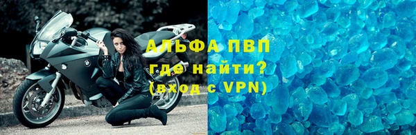 гашик Нефтекумск
