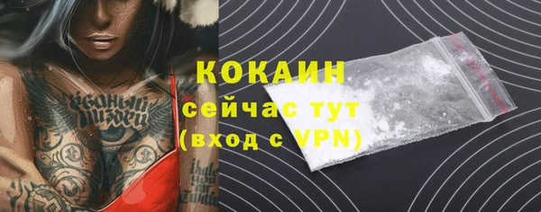 гашик Нефтекумск