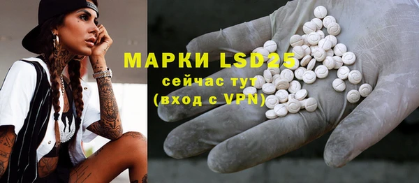 гашик Нефтекумск