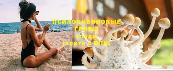 гашик Нефтекумск