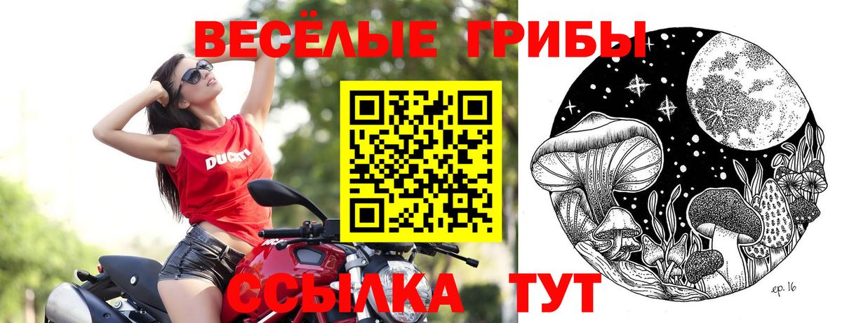 Балахна  Псилоцибиновые грибы Magic Shrooms  Вход с VPN 