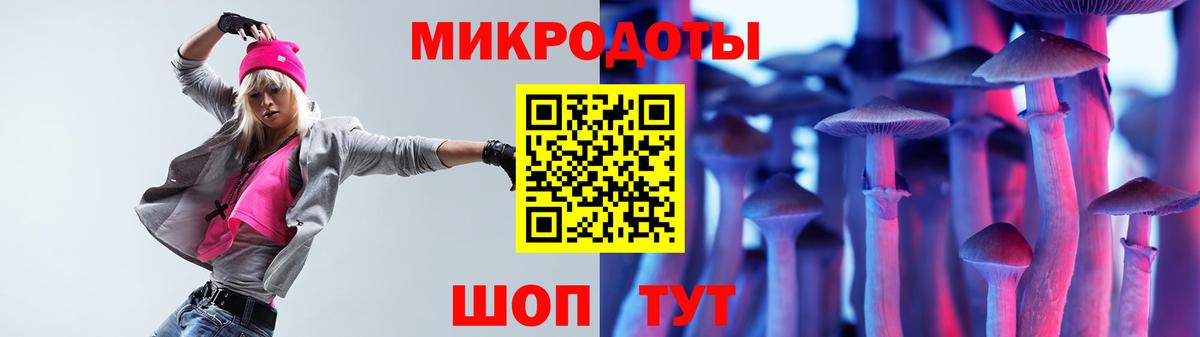 Галлюциногенные грибы Psilocybe Балахна